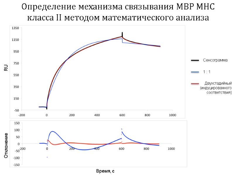 Определение механизма связывания MBP MHC класса II методом математического анализа Сенсограмма 1 : 1